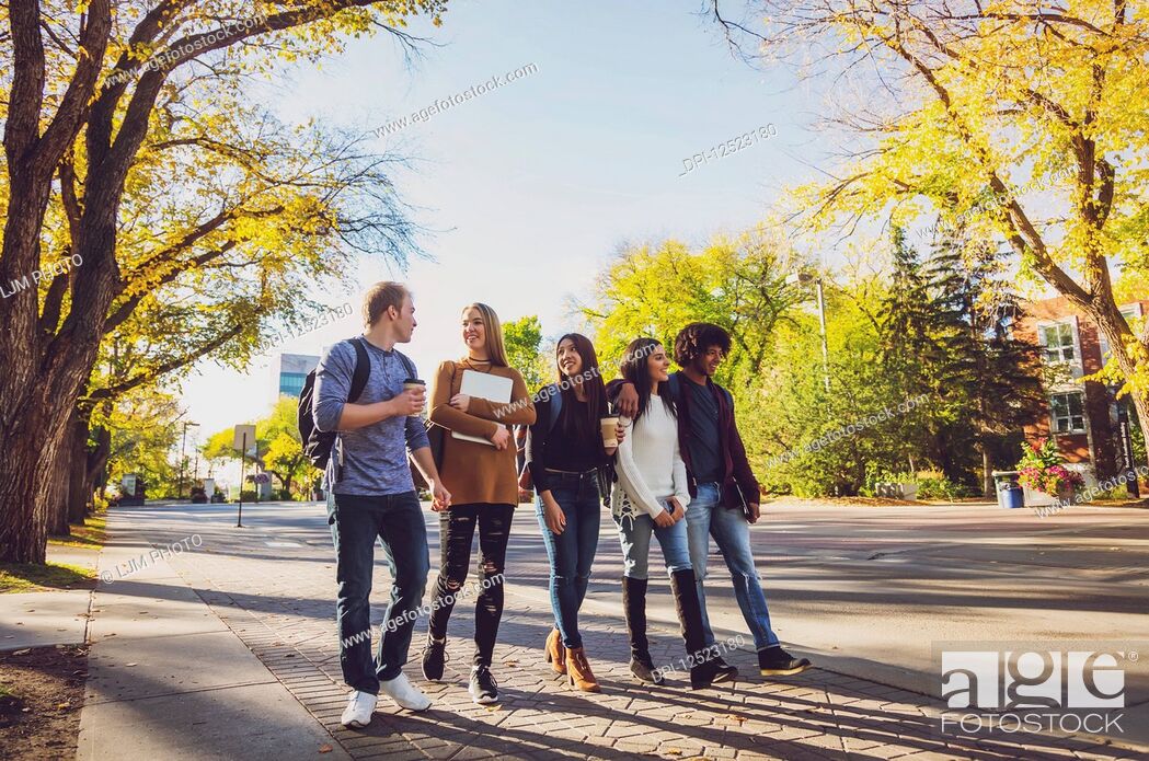 Stock Photo: An ethnically diverse group of university students walk and talk together on the campus in autumn; Edmonton, Alberta, Canada.