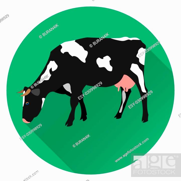 Stock Vector: Vector illustration of flat cow.
