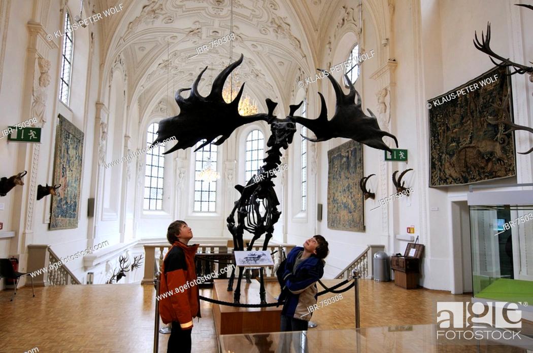 Stock Photo: Children looking up in awe at a Megaloceros skeleton, Deutsches Jagd- und Fischereimuseum (German Hunting and Fishing Museum), Munich, Bavaria, Germany.