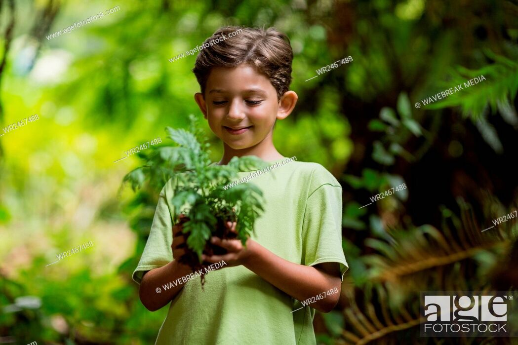 Stock Photo: Boy holding sapling plant.