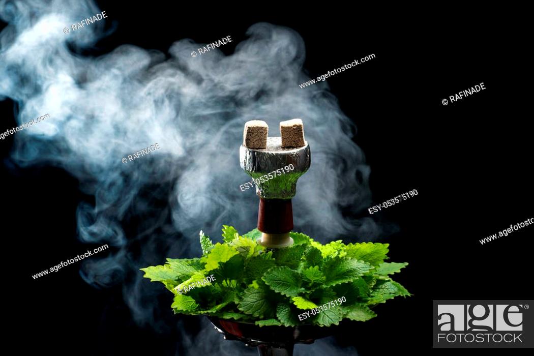 Mint smoking hookah with leafs on black background, Stock Photo, Picture  And Low Budget Royalty Free Image. Pic. ESY-053575190 | agefotostock