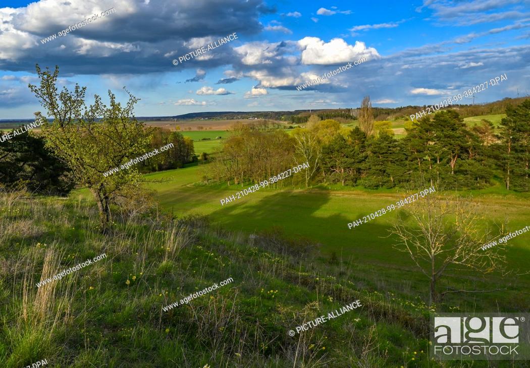 Stock Photo: 25 April 2021, Brandenburg, Mallnow: The low evening sun shines over the landscape on the edge of the Oderbruch in the district of Märkisch-Oderland.