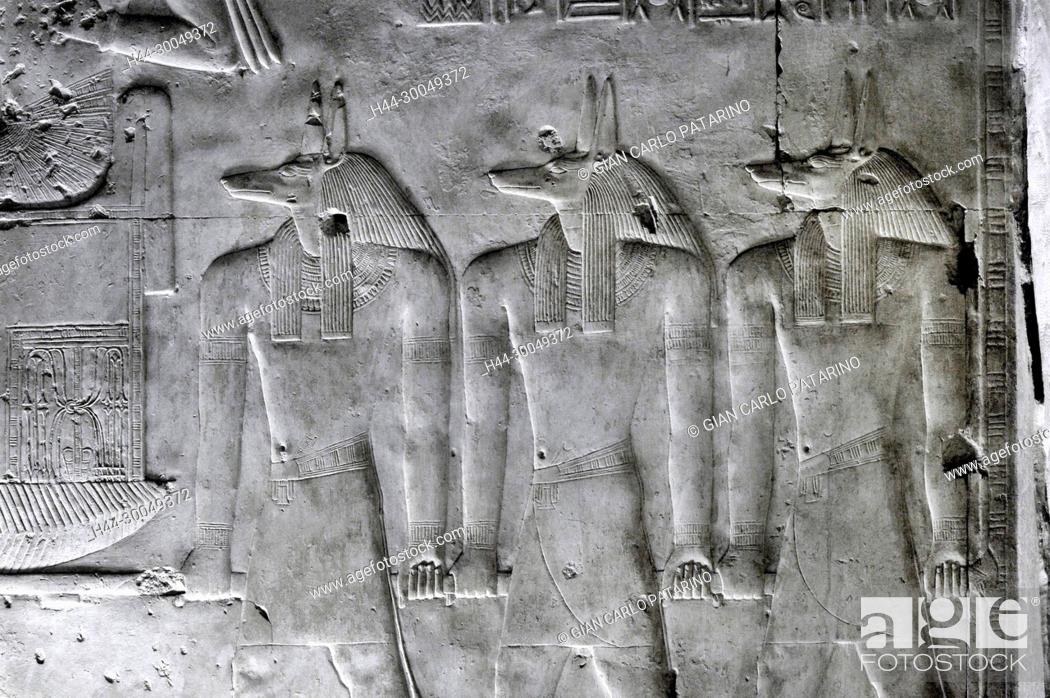 Stock Photo: Abydos, Egypt, the mortuary temple of pharaoh Seti I, Menmaatra, (XIX° dyn. 1321-1186 B.C.) - Three jackals.