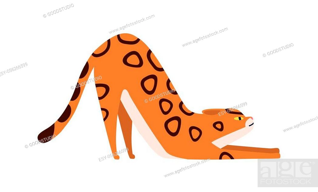 Cartoon flexible bengal cat breed vector flat illustration, Stock Vector,  Vector And Low Budget Royalty Free Image. Pic. ESY-056266599 | agefotostock