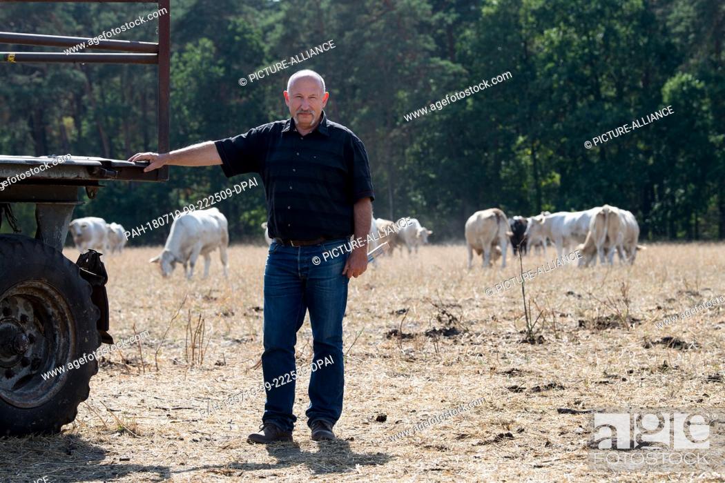 Stock Photo: 18 July 2018, Germany, Wildenhain: Farmer Matthias Boebel of the Agrarprodukte eG cattle raisers' group standing in a dry meadow.