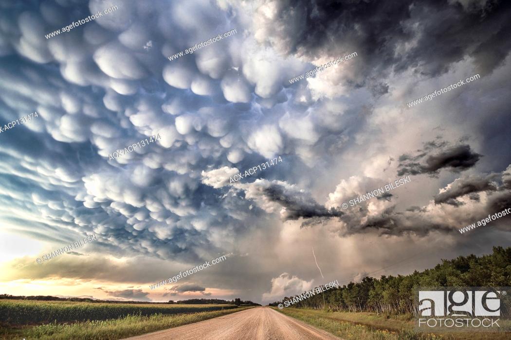 Stock Photo: Gorgeoud deep mammatus clouds over gravel road in rural southern Manitoba Canada on a tornado warned super cell.