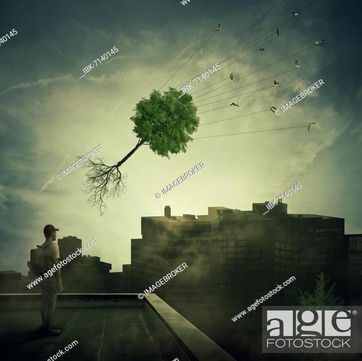 Stock Photo: Surreal view as a boy stand on the rooftop looking at a flock of birds carrying a tree pulled from roots, flying over the polluted, foggy city.