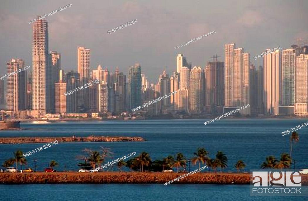 Stock Photo: Palm trees with city in the background, Panama Canal, Panama.