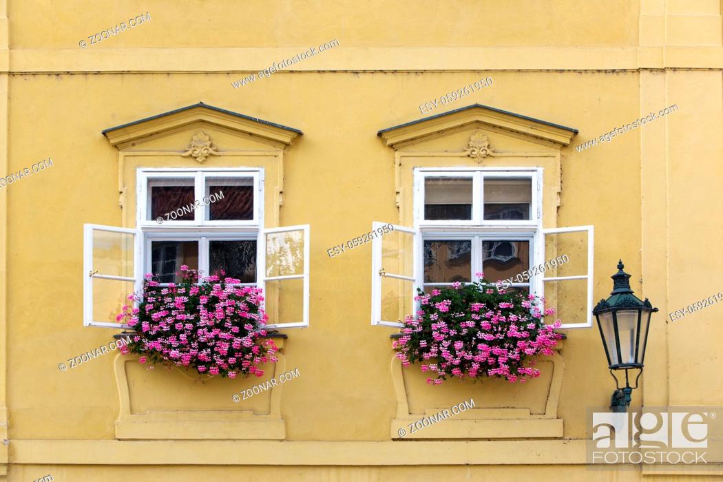 Stock Photo: Prague. Window in the old house, decorated with flowering plants.