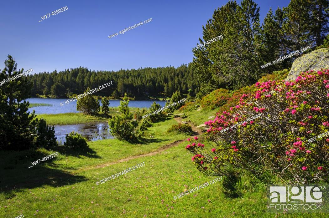 Stock Photo: Carlit Lakes, Les Bouillouses, in summer (Pyrenees Orientales, France).
