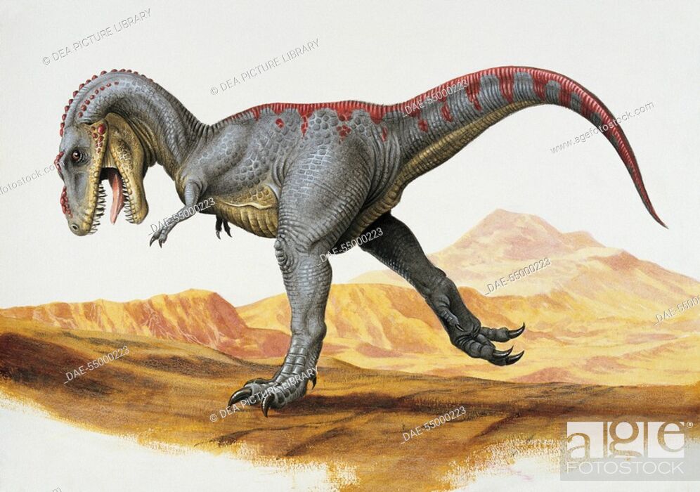 Stock Photo: Palaeozoology - Cretaceous Period - Dinosaurs - Tarbosaurus (art work by Una Fricker).