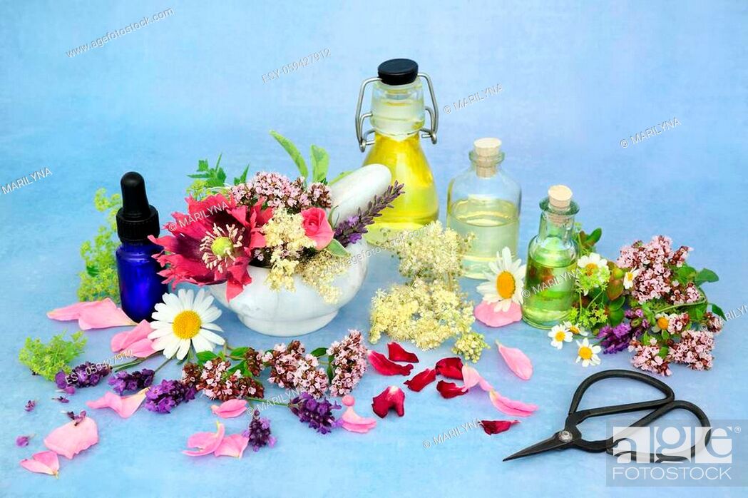Stock Photo: Naturopathic herbal medicine with summer flowers and herbs with oils to make aromatherapy essential oil. Still life for natural health care concept.