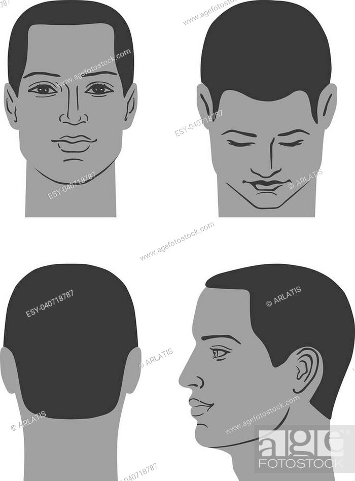 Man hairstyle head set (front, back, side views), vector illustration  isolated on white background, Stock Vector, Vector And Low Budget Royalty  Free Image. Pic. ESY-040718787 | agefotostock