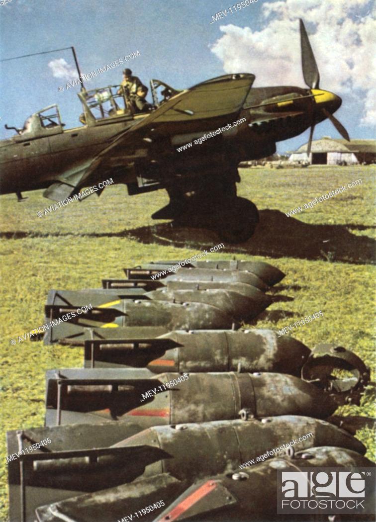 Cinturones de Seguridad Correas de Asiento Junkers Ju-87 Stuka Eduard 