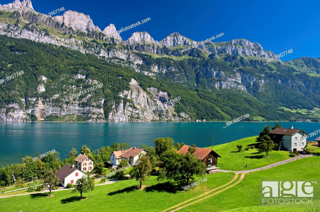 Imagen: Settlement on Lake Walen in front of the Churfirsten range near Mols, Canton of St. Gallen, Switzerland.