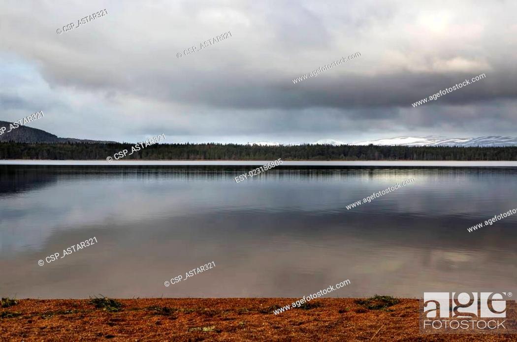 Stock Photo: Calm waters at Loch Morlich.