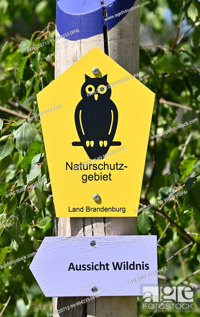 Stock Photo: 12 July 2022, Brandenburg, Lieberose: A signpost stands in the Lieberoser Heide of the Brandenburg Natural Landscapes Foundation ""The Wilderness Foundation"".