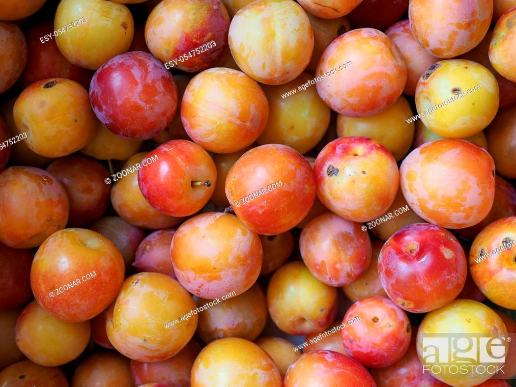Stock Photo: plum prune (Prunus domestica) aka European plum fruit vegetarian food useful as a background.