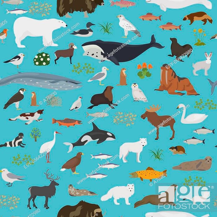 Tundra biome. Terrestrial ecosystem world map. Arctic animals, birds, Stock  Vector, Vector And Low Budget Royalty Free Image. Pic. ESY-056422980 |  agefotostock