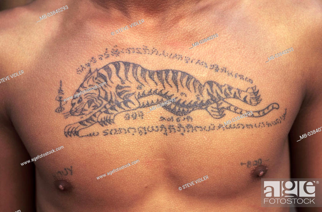 Man, detail, breast, tattoo, tigers, Thailand, culture, belief,  superstition, Skinhead Art, skin, Stock Photo, Picture And Rights Managed  Image. Pic. MB-03840293 | agefotostock
