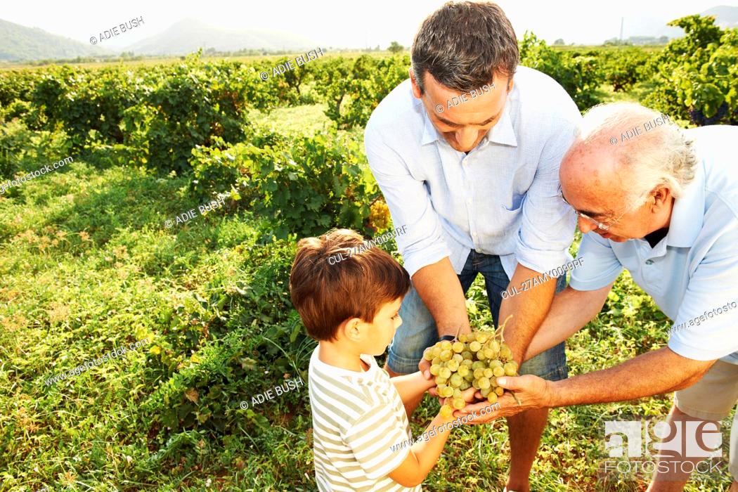Stock Photo: Generational family holding grapes.