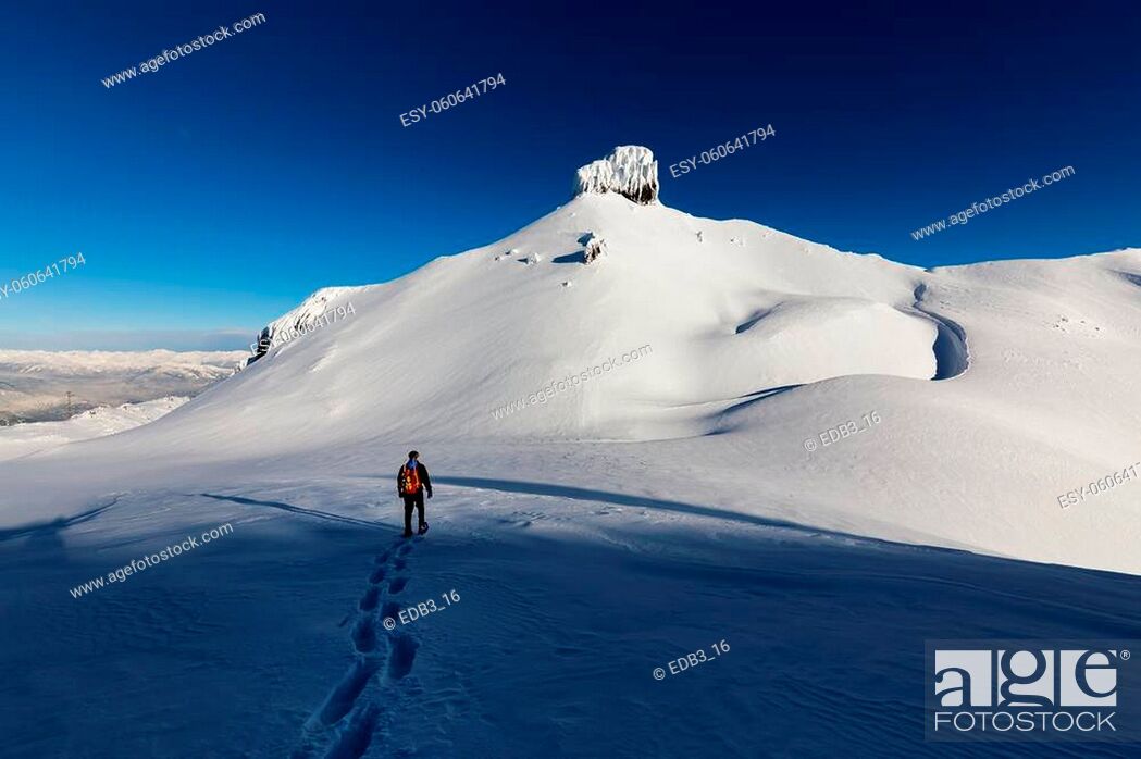 Stock Photo: Garibaldi, between Whistler and Squamish, North of Vancouver, British Columbia, Canada. Adventurous man Snowshoeing on the snow in the remote Canadian Mountain.