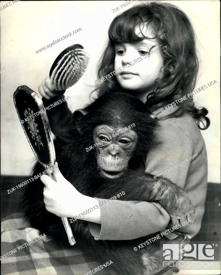 Stock Photo: 1983 - A bright spark in the Clews family A new member of the Clews family, Sparky the chimp, brightens up the domestic scene, and gets his brothers and sisters.