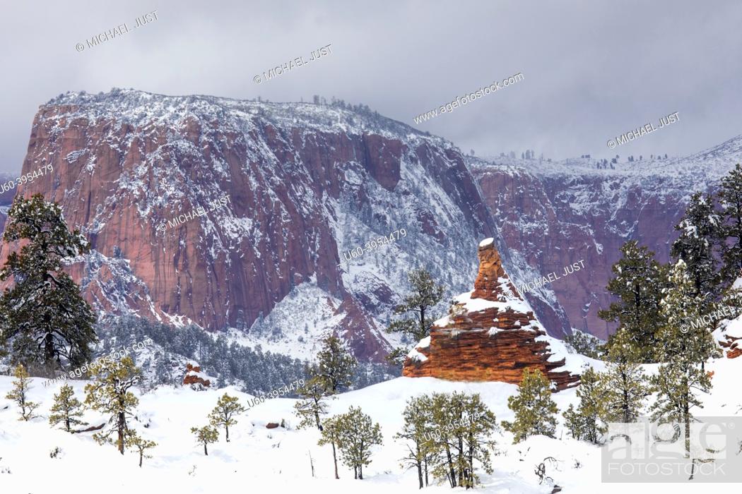Stock Photo: Fresh snow has fallen on the Kolob Terrace area in and around Zion National Park, Utah.