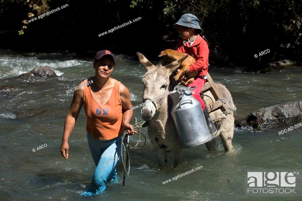 Woman and Domestic Donkey, carrying milk churns and girl, crossing river,  Irubi county, Stock Photo, Picture And Rights Managed Image. Pic.  RDC-AD-208014 | agefotostock