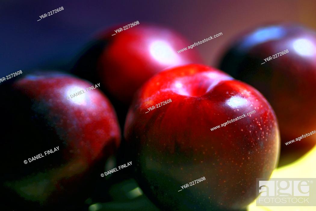 Stock Photo: Victoria plums.