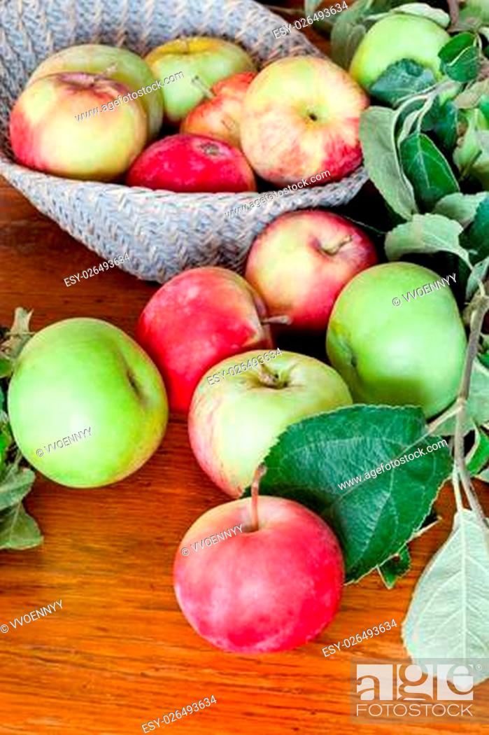 Photo de stock: red and green apples with tree twig on wooden table close up.