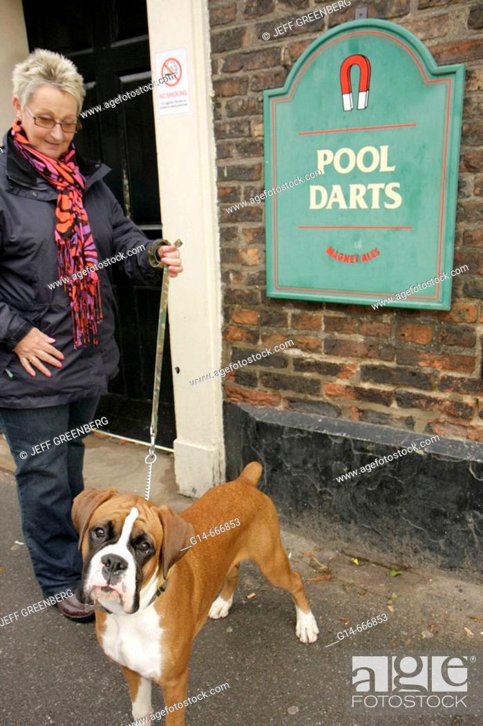 Stock Photo: UK, England, Thirsk, Kirkgate, John Smith's Cross Keys Bar, pub, dog, boxer, sign, pool darts,.