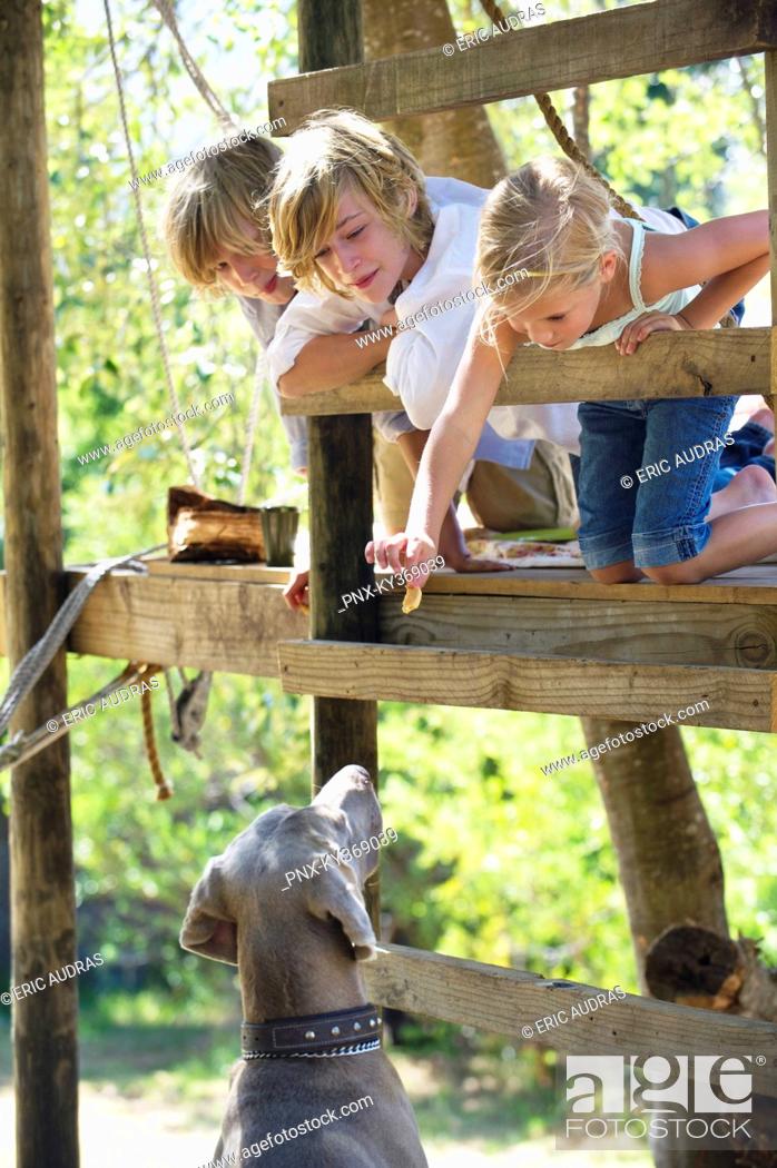 Stock Photo: Children feeding a dog from tree house.