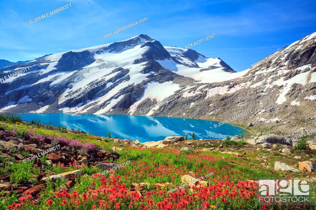 Stock Photo: Wildflowers at Thunderwater Lake in the Purcell Mountains south of Golden, BC.