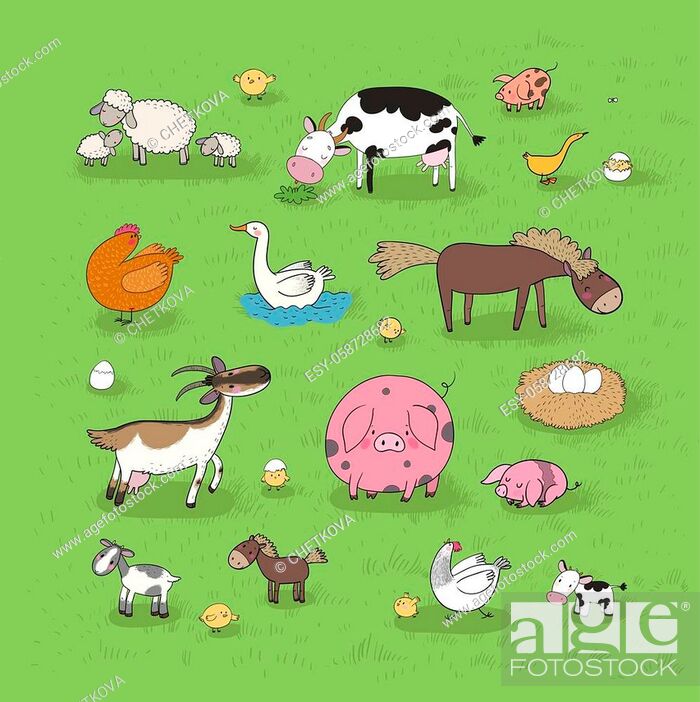 Farm animals. Cute cartoon horse, cow and goat, sheep and goose, chicken  and pig, Stock Vector, Vector And Low Budget Royalty Free Image. Pic.  ESY-058728682 | agefotostock