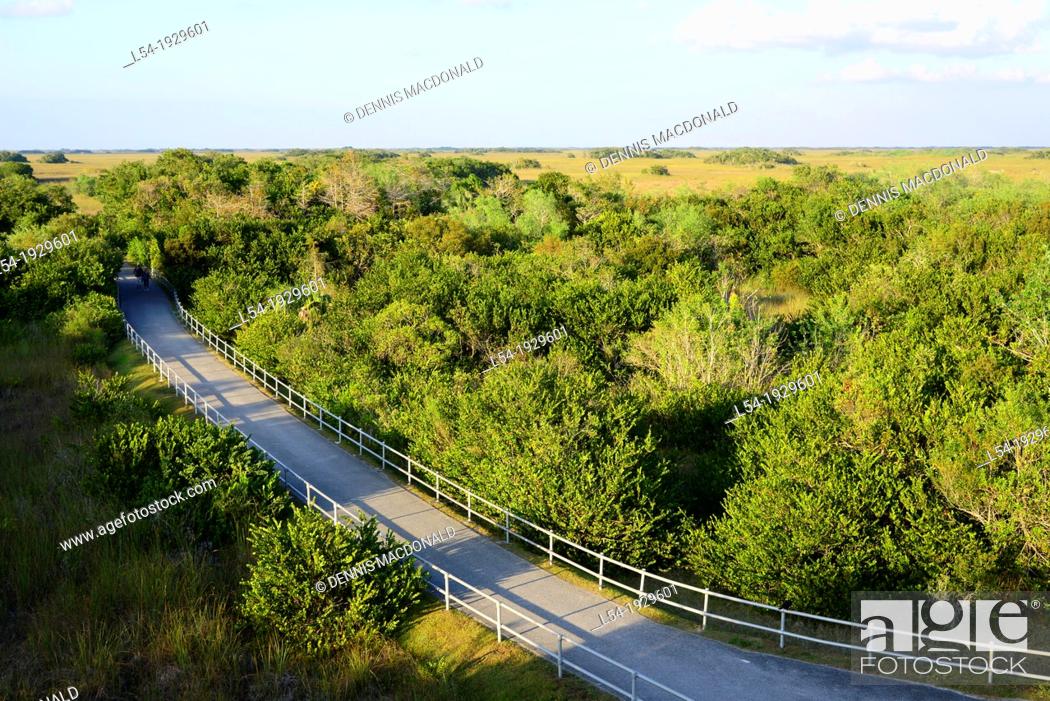 Stock Photo: Shark Valley Loop Road Everglades National Park Florida US.