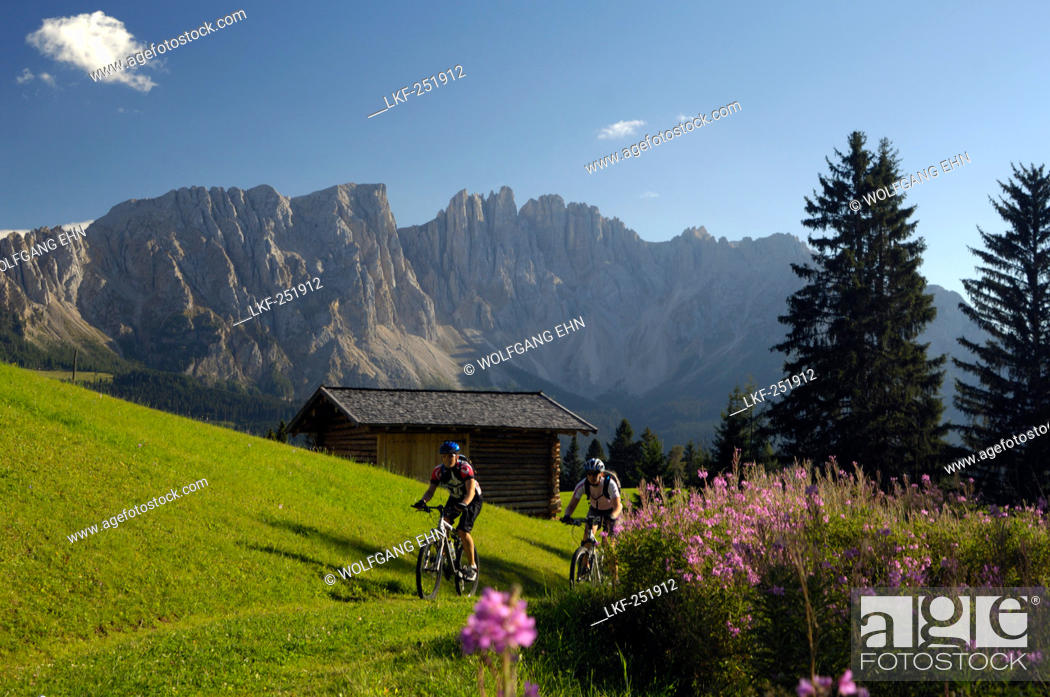 Stock Photo: Two men on a mountainbike tour, MTB, near Welschnofen, Rosengarten Mountain Range, Dolomiten, South Tyrol, Italy, Europe.
