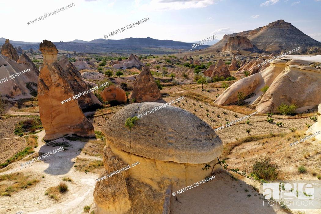 Stock Photo: Fairy chimneys, tufa formations, Valley of the Monks, Pasabagi, Goreme National Park, Cappadocia, Central Anatolia Region, Anatolia, Turkey.