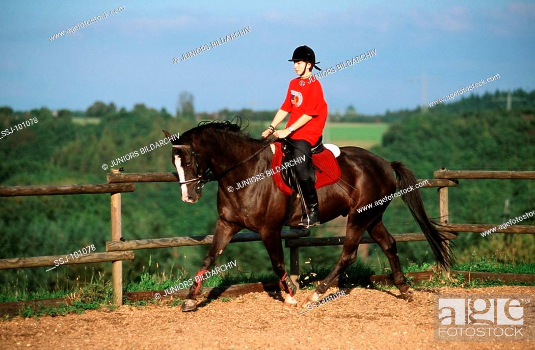 Stock Photo: rider with horse.