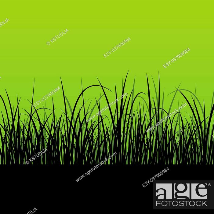 Fresh grass landscape detailed silhouette illustration background vector  for poster, Stock Vector, Vector And Low Budget Royalty Free Image. Pic.  ESY-037906984 | agefotostock