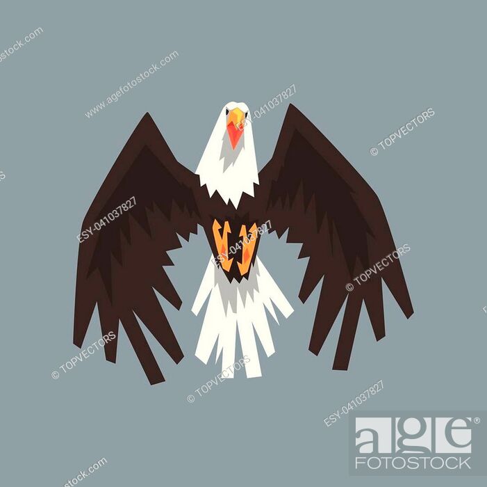North American Bald Eagle character flying, symbol of freedom and  independence vector illustration, Stock Vector, Vector And Low Budget  Royalty Free Image. Pic. ESY-041037827 | agefotostock