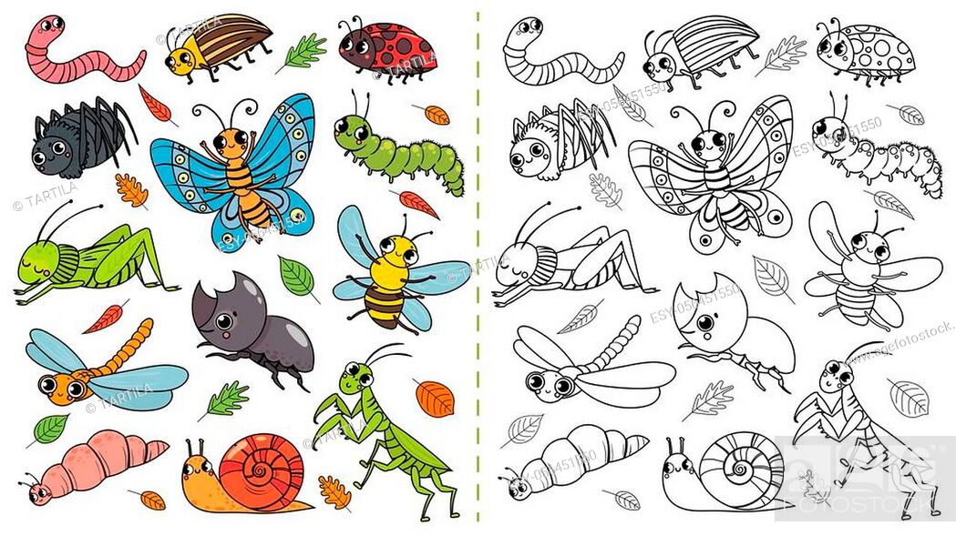 Cartoon insects color painting game. Draw cute insect with kids, funny bug,  worm and caterpillar, Stock Vector, Vector And Low Budget Royalty Free  Image. Pic. ESY-056451550 | agefotostock