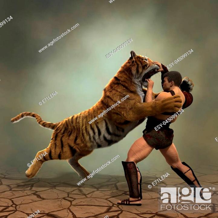 Gladiator fighting with a tiger 3d illustration, Stock Photo, Picture And  Low Budget Royalty Free Image. Pic. ESY-045099134 | agefotostock