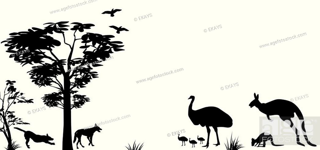 Känguru und Dingo Emu Ansichtskarte 