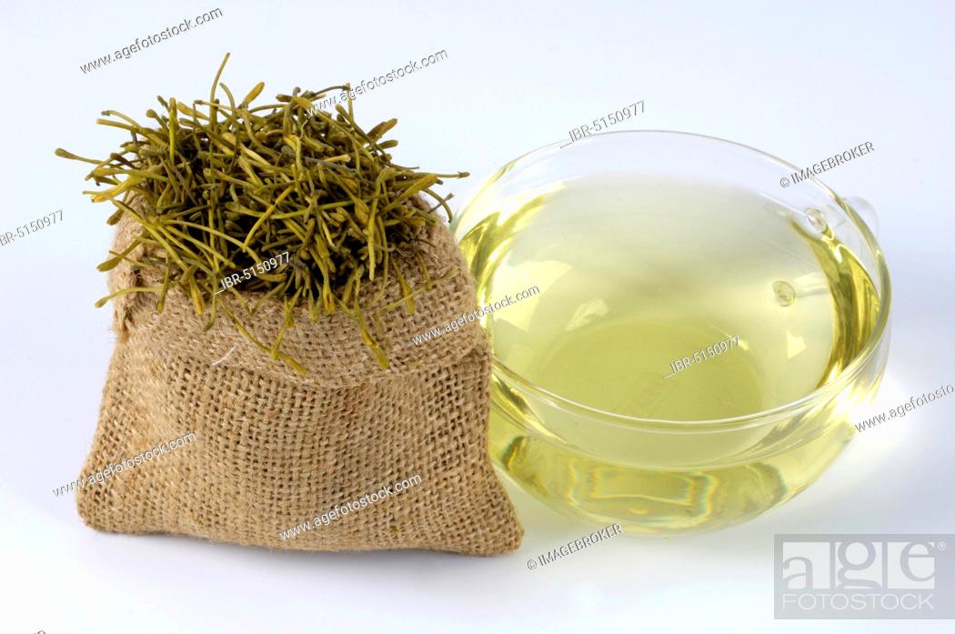 Stock Photo: Cup of Jin Yin Hua tea (Lonicera caprifolium) (Lonicera japonica), goat leaf, Jinyinhua.