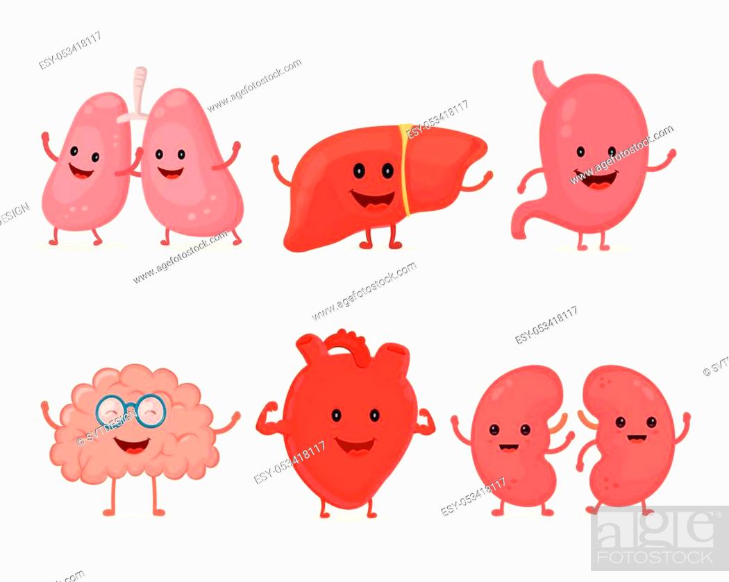 Cute smiling happy human healthy strong organs set. Vector modern style  cartoon character..., Stock Vector, Vector And Low Budget Royalty Free  Image. Pic. ESY-053418117 | agefotostock