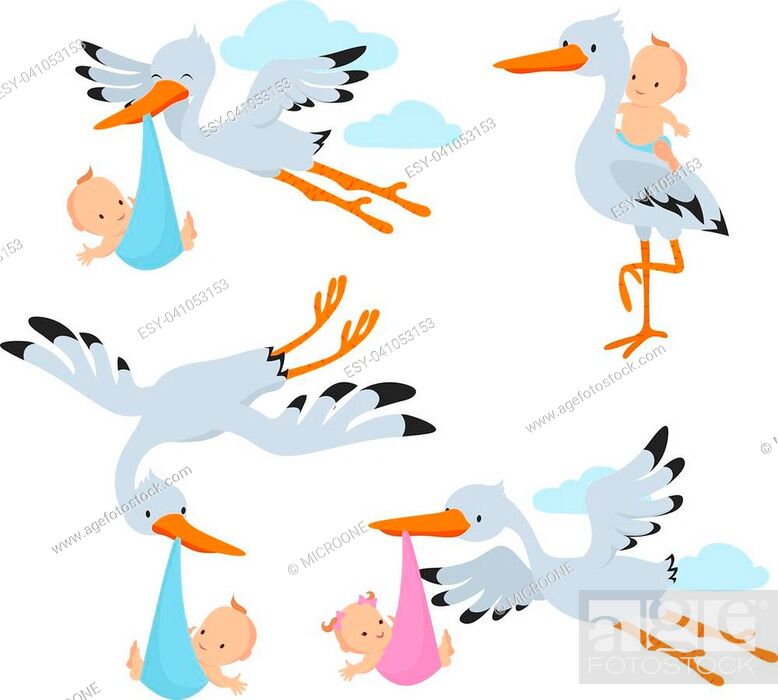 Cartoon flying storks and stork birds carrying baby vector set, Stock  Vector, Vector And Low Budget Royalty Free Image. Pic. ESY-041053153 |  agefotostock