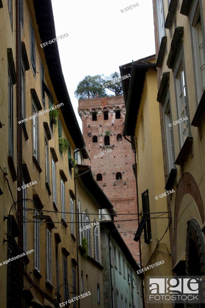 Stock Photo: Old buildings in Lucca with the famous Guinigi tower in the background.