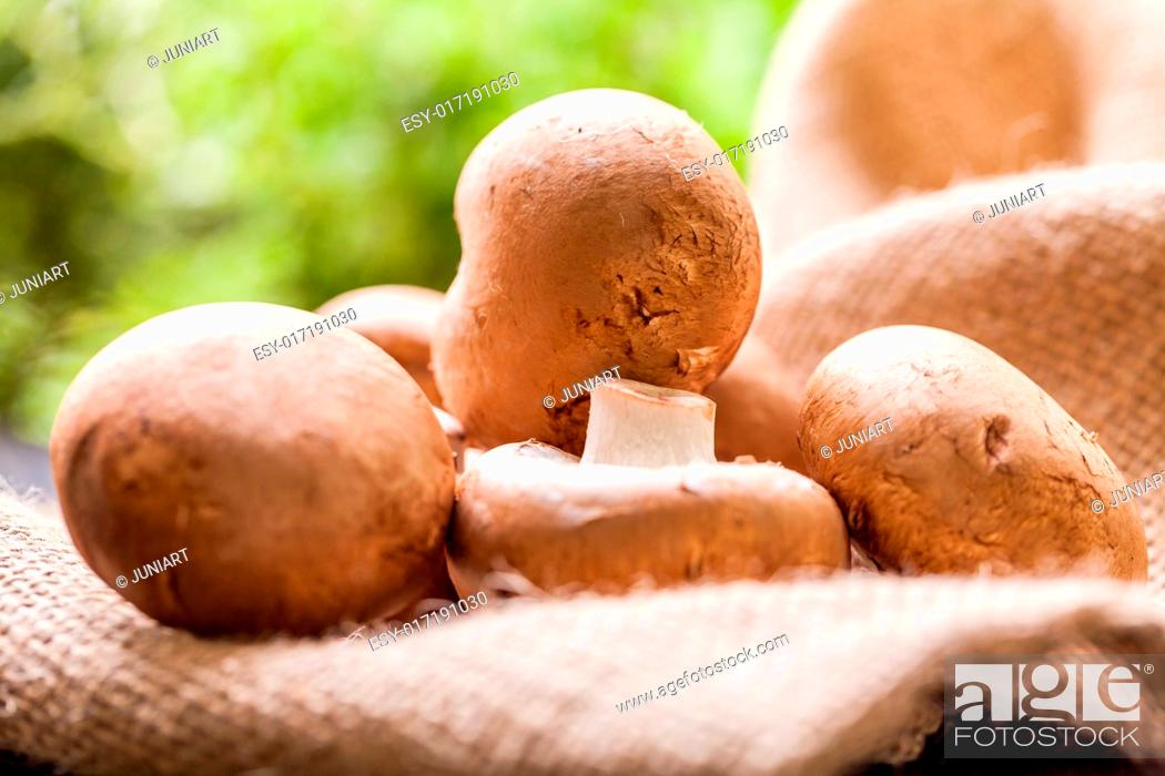Stock Photo: Fresh brown whole uncooked Agaricus mushrooms on a hessian sack, one of the most cultivated edible mushrooms in the world and a popular ingredient in savory and.