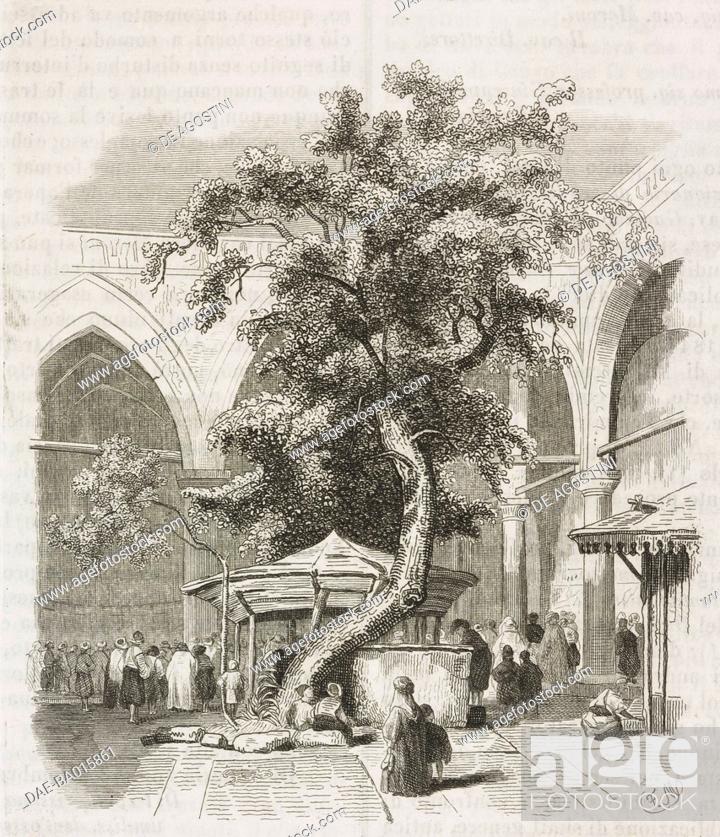 Imagen: Interior courtyard of Kesmas-el-Baradeyeh mosque, Cairo, Egypt, engraving from L'album, giornale letterario e di belle arti, January 10, 1846, Year 12.